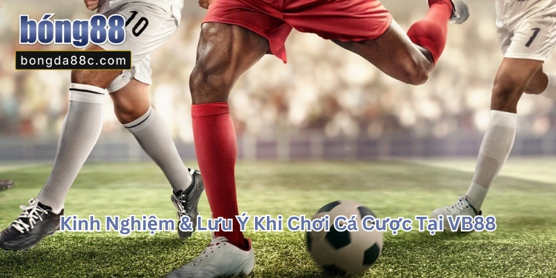VB88 